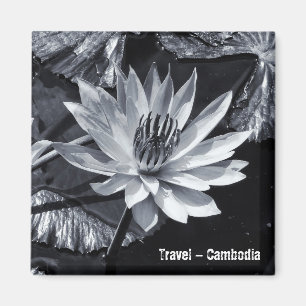 Kambodja - Lotus Flower BW (Fridge Magnet) Magnet