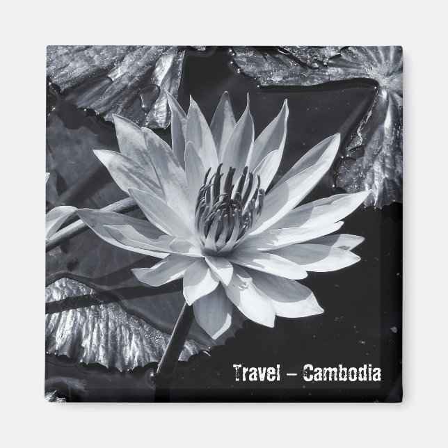 Kambodja - Lotus Flower BW (Fridge Magnet) Magnet (Framsidan)