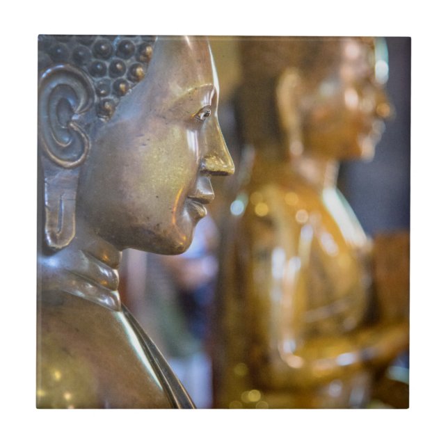Kambodja, Phnom Penh. Buddhastatyer Kakelplatta (Framsidan)