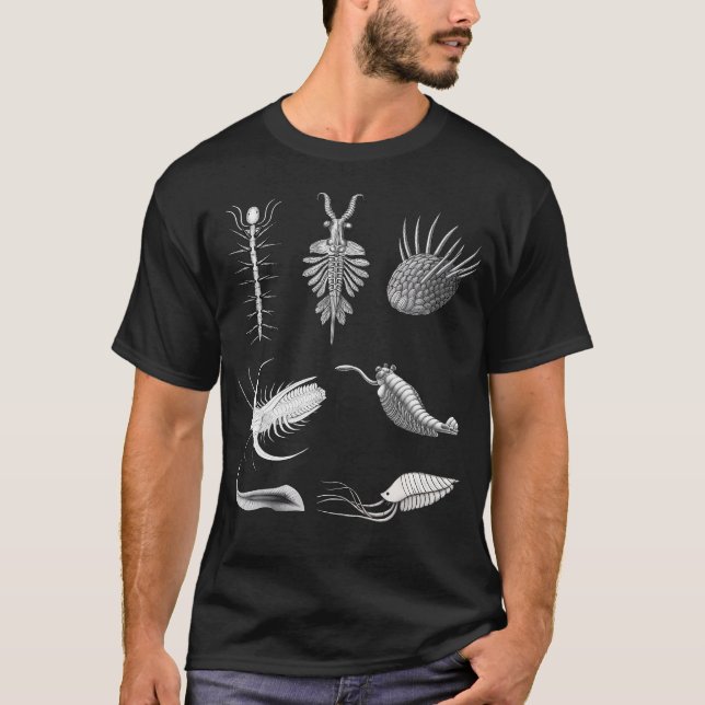 Kambriska varelser fossil paleokonst evolution vet t shirt (Framsida)