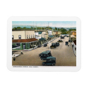 Kamehameha Ave., Hilo, Hawaii Vintage Magnet