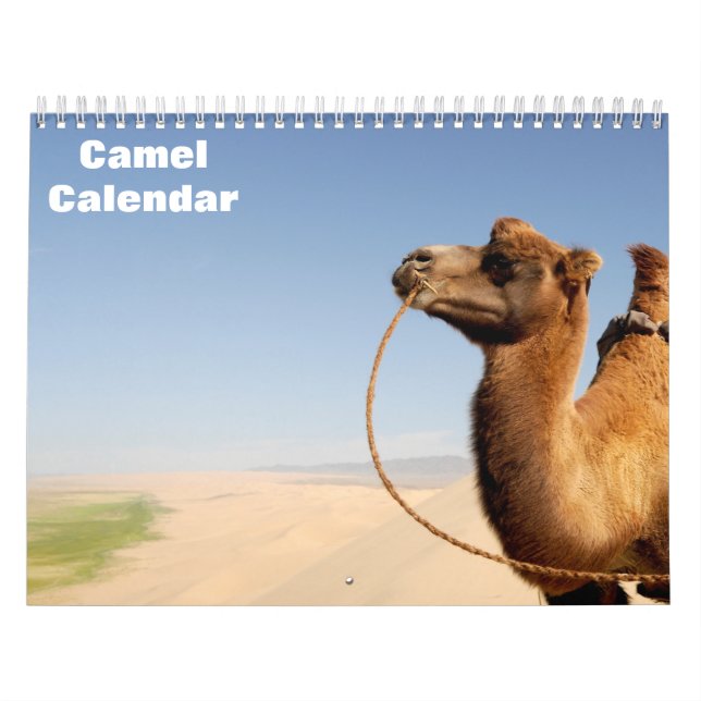 Kamel 2027 Kalender (Omslag)