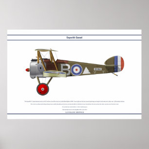Kamel 43 Sqn Poster