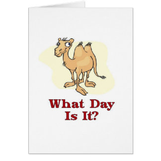 Kamel - är vilken dag det? hälsningskort