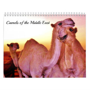 Kamel av mellan östern kalender