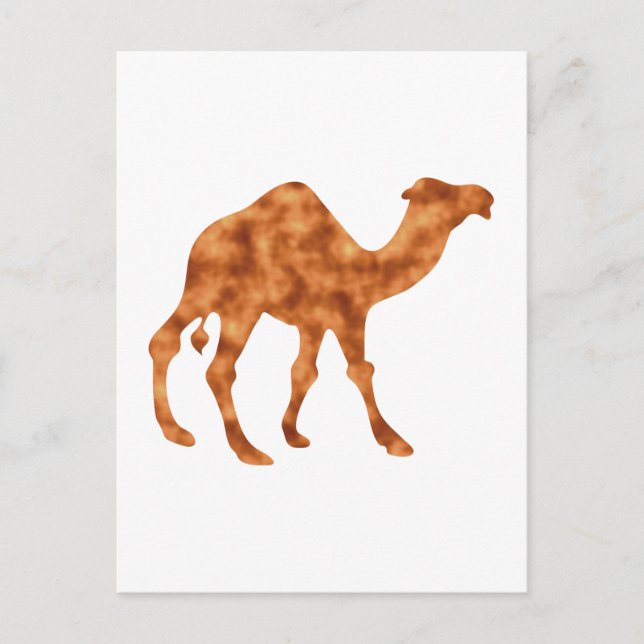 Kamel Camel Vykort (Framsida)