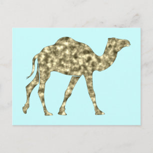 Kamel Camel Vykort