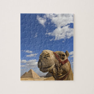 Kamel framför pyramiderna i Giza, Egypten, Pussel