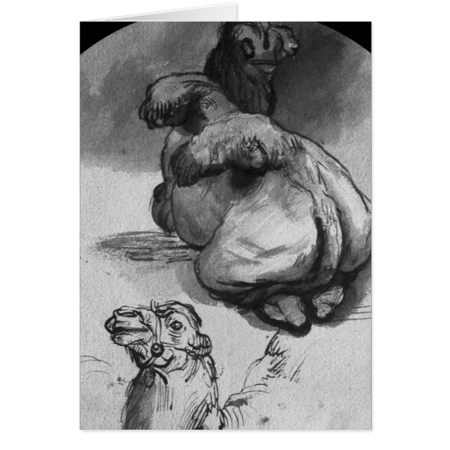 Kamel Hälsningskort (Framsidan)