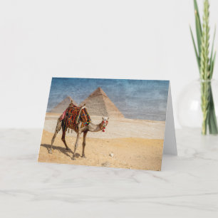 Kamel i Pyramids Kort