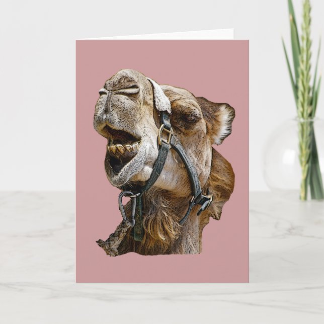 Kamel Kort (Framsida)