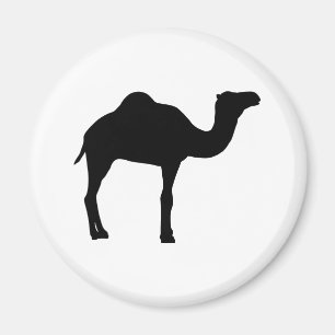 Kamel Magnet