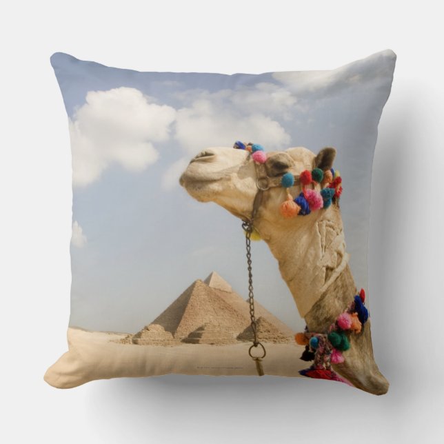 Kamel med pyramider Giza, egypten Kudde (Framsida)