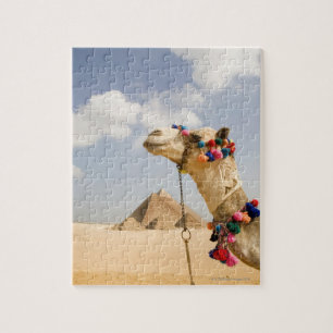 Kamel med pyramider Giza, egypten Pussel