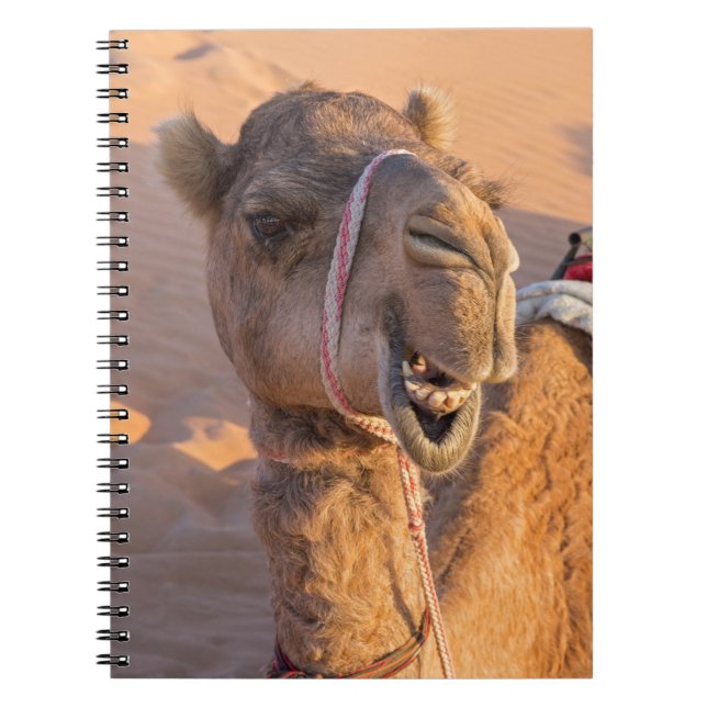 Kamel med rolig ansiktsuttryck - Oman Anteckningsbok (Framsidan)