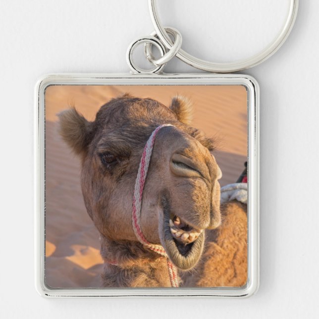 Kamel med rolig ansiktsuttryck - Oman Fyrkantig Silverfärgad Nyckelring (Framsidan)