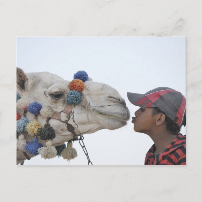 Kamel och pojke vykort (Framsida)