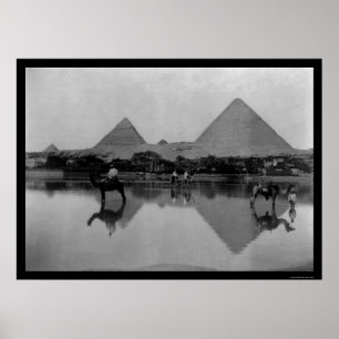Kamel och pyramider i egyptenen 1899 poster
