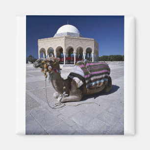 Kamel som framme vilar av kupolen, Monastir, Magnet