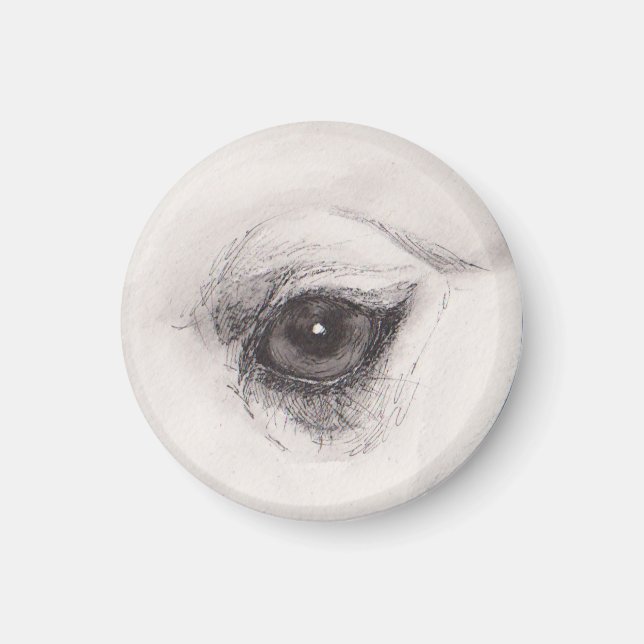 Kamelen öga – Blicksamlingen Magnet (Framsidan)