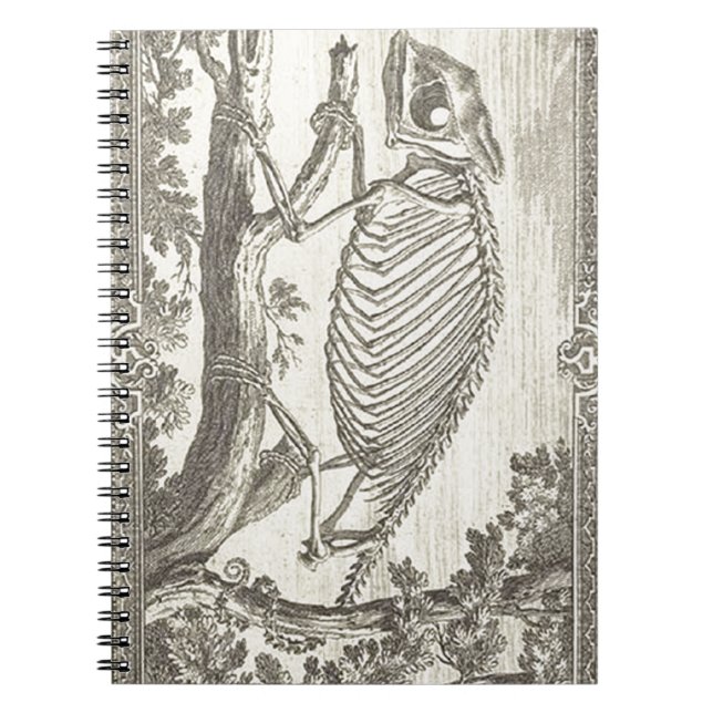 Kameleontskelettillustration Anteckningsbok (Framsidan)