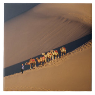 Kamelföljd i öknen, Dunhuang, Gansu Kakelplatta