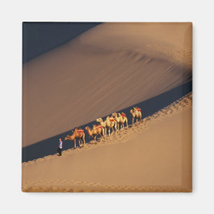 Kamelföljd i öknen, Dunhuang, Gansu Magnet