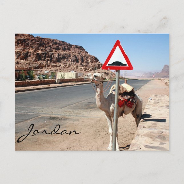 kamelhastighet, hump vykort (Framsida)