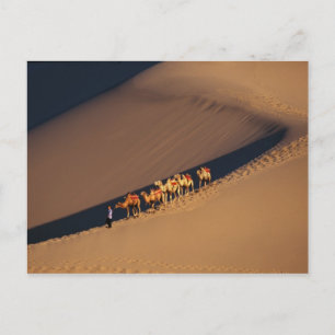Kamelhusvagn på öknen, Dunhuang, Gansu Vykort