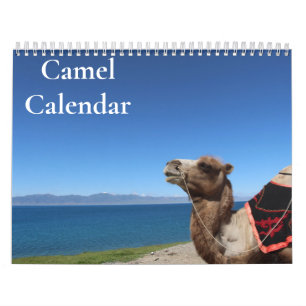 Kamelkalender 2025 kalender
