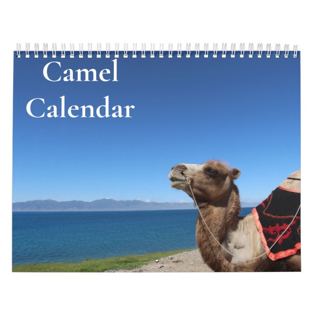 Kamelkalender 2027 kalender (Omslag)