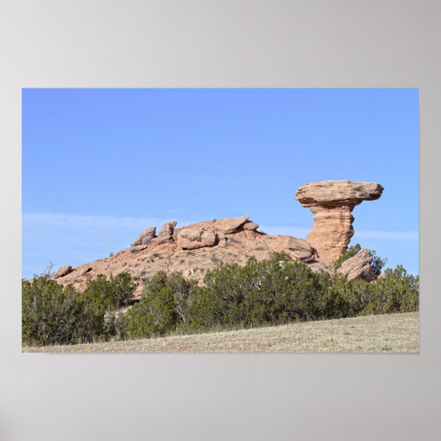 Kamelklippa, New Mexico Poster (Framsidan)