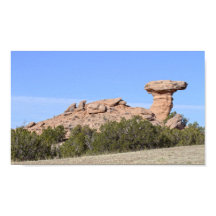 Kamelklippa, New Mexico
