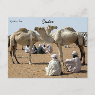 Kamelmarknad i Sudan Vykort