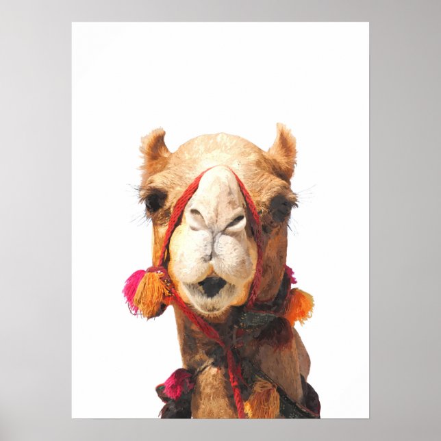Kamelöksdjur porträtt poster (Framsidan)