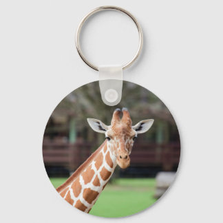 Kamelopard (giraffe) nyckelring