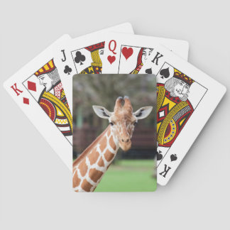 Kamelopard (giraffe) spelkort