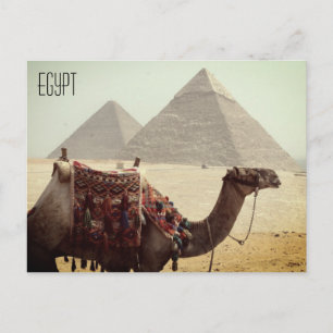 kamelpyramid-egypten vykort