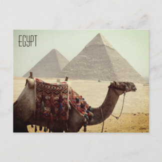 kamelpyramid-egypten vykort