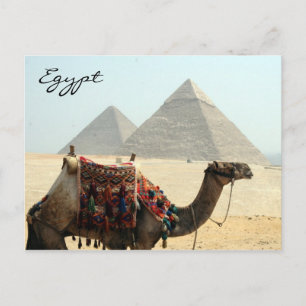 kamelpyramid för egypten vykort