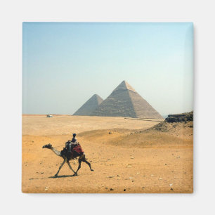 kamelpyramid magnet