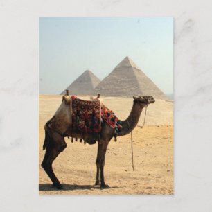 kamelpyramider vykort