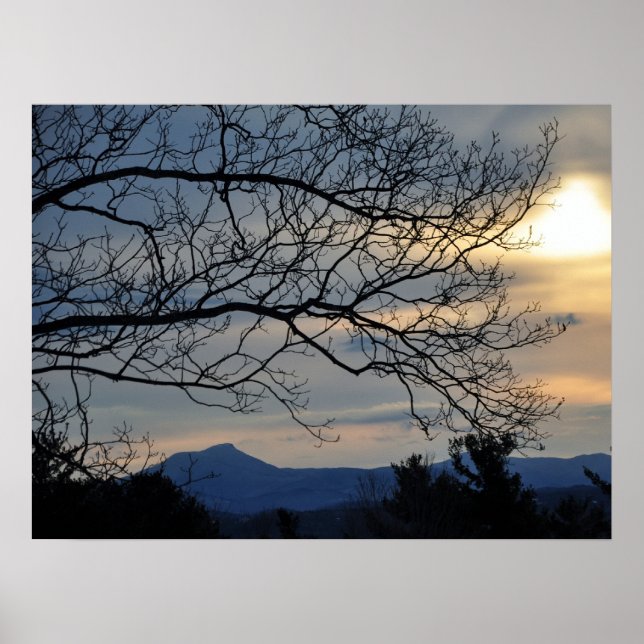 Kamels hump poster (Framsidan)