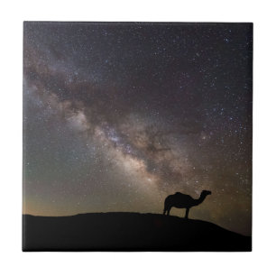 KamelSilhouette och Milkyway Kakelplatta