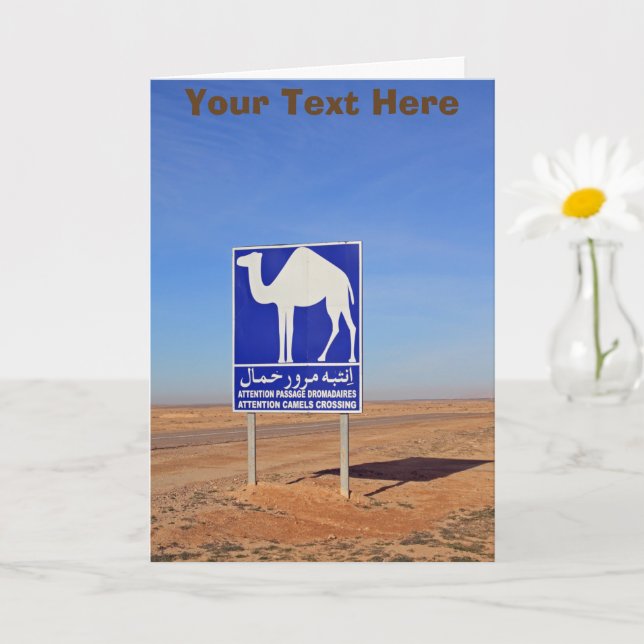 Kameltecken, Tunisien, anpassade Kort (Liten växt)