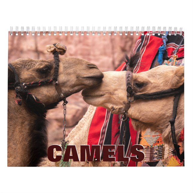 Kamelväggskalender Kalender (Omslag)