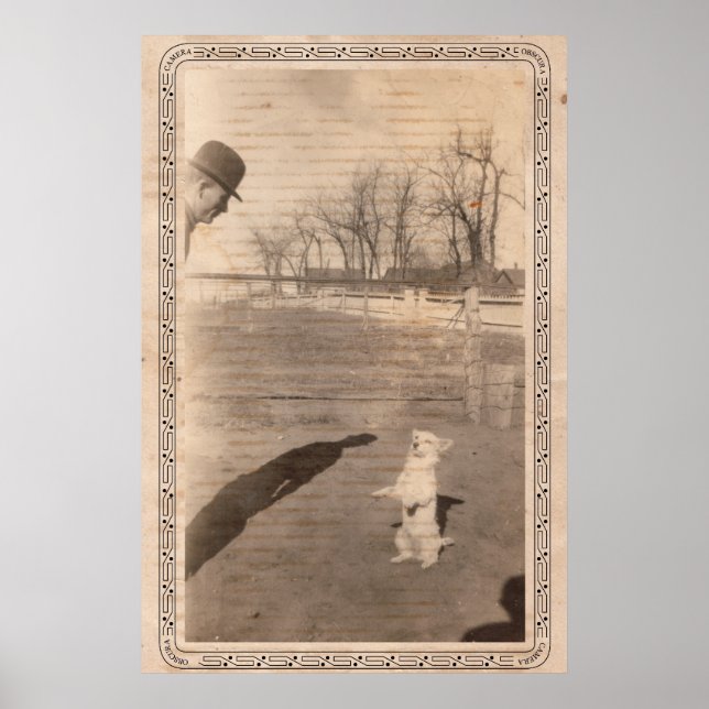 Kamera Obscura #351 Poster (Framsidan)