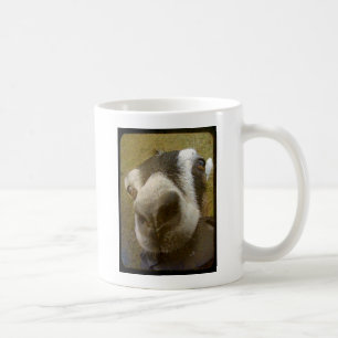 Kamera Yum! Kaffemugg