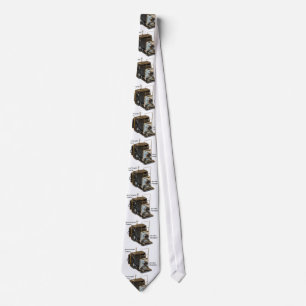 Kamerabild för slips