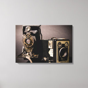 Kameror med vintage inlindad duk canvastryck